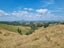 254B Pekanui Road, Puketotara, Pirongia - Carousel 14