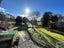 1097 Milton Highway, Lovells Flat - Carousel 40