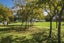 587C Crane Road, Kauri, Kamo - Carousel 28