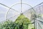 63 Morley Street, New Plymouth, New Plymouth - Carousel 12
