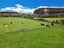60 Walford Road, Aongatete, Katikati - Carousel 18