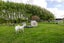235D Watershed Road, Bunnythorpe, Palmerston North - Carousel 14