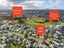 8 Daniell Street, Masterton, Masterton, Wellington - Carousel 18