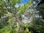 1695 Wyuna Bay Road, Wyuna Bay, Coromandel - Carousel 39