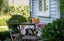 5 Hamilton Road, Cambridge, Cambridge - Carousel 3