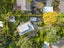 806A Beach Road, Browns Bay, Auckland - Carousel 18