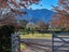23 Argelins Road, Hanmer Springs, Hanmer Springs - Carousel 29