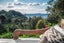 56 Hill Road, Palm Beach, Waiheke Island - Carousel 6