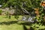 109 Second View Avenue, Beachlands, Auckland - Carousel 1