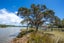 13 Pataua Street, Pataua South, Parua Bay - Carousel 8