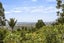 29 Tawini Road, Titirangi, Auckland - Carousel 15