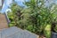 195 Morningside Road, Morningside, Whangarei - Carousel 18