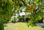 101 Newcastle Street, Clyde, Clyde - Carousel 25