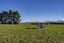 106 Ginders Road, Medbury, Hawarden - Carousel 28