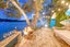 254 Wade River Road, Wade Heads, Whangaparaoa - Carousel 4