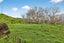 102B James Road, Maungaturoto - Carousel 21