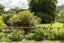 37 Kara Road, Whangarei - Carousel 25