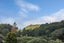 12/3 Sherbourne Road, Mount Eden, Auckland - Carousel 8