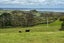 1611 Kaipara Coast Highway, Kaukapakapa, Kaukapakapa - Carousel 38