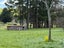 549 Norsewood Ormondville Road, Ormondville - Carousel 6