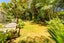 31 Tane Road, Laingholm, Auckland - Carousel 4