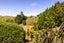 1095 Taumata Road, Omanawa, Tauranga - Carousel 45