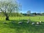 505 Golden Valley Road, Waihi, Waihi - Carousel 7