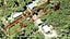 0 Wilson Way, Hihi, Mangonui - Carousel 20