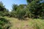 4 Hamon Place, Pukehangi, Rotorua - Carousel 36