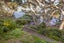 74 Queen Street, Northcote Point, Auckland - Carousel 29