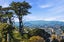 26A Mountain Road, Mount Wellington, Auckland - Carousel 4