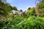 5B Wayne Place, Ferndale, New Plymouth - Carousel 20