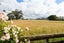 14 Dunsinane Place, Marton - Carousel 10