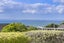 4 Pacific Parade, Army Bay, Rodney, Auckland - Carousel 6