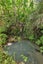 0 Whananaki Road, Whananaki, Hikurangi - Carousel 14