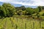 186 Twilight Road, Clevedon, Manukau City, Auckland - Carousel 8