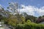 4/23 Luckens Road, West Harbour, Auckland - Carousel 18