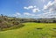 45 Donaldson Drive, Albany - Carousel 24