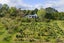 262A Work Road, Aongatete, Aongatete - Carousel 28