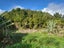 0 State Highway 6, Barrytown, Greymouth - Carousel 12