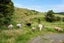 35A Valley Road, Hikurangi, Hikurangi - Carousel 21