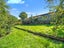 13 Pratt Street, Waikouaiti, Waikouaiti - Carousel 27
