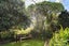 2633 Awhitu Road, Awhitu, Franklin, Auckland - Carousel 13