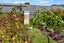 47 Riselaw Street, Mairehau, Christchurch - Carousel 25