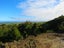 207 Tanglefern Row, Virgin Flat, Cape Foulwind - Carousel 7