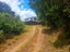 6115 State Highway 1, Kaitaia, Far North, Northland - Carousel 24