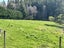 140 Three Mile Hill Road, North Taieri, Mosgiel - Carousel 17