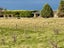 570 Rimu South Road, Rimu, Invercargill - Carousel 26