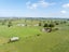 118 Costall Road, Matamata, Matamata-Piako, Waikato - Carousel 32