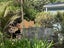 1 Webb Street, Punakaiki, Punakaiki - Carousel 12